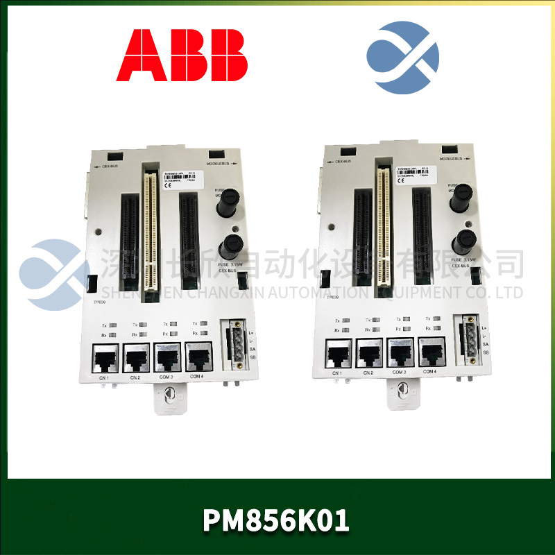 ABB PM856K01 (2).jpg